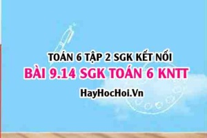 Bài 9.14 SGK Toán 6 tập 2 Kết nối tri thức
